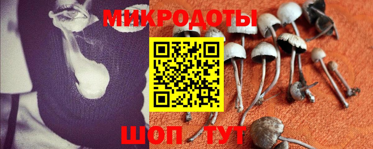 Галлюциногенные грибы GOLDEN TEACHER Оренбург