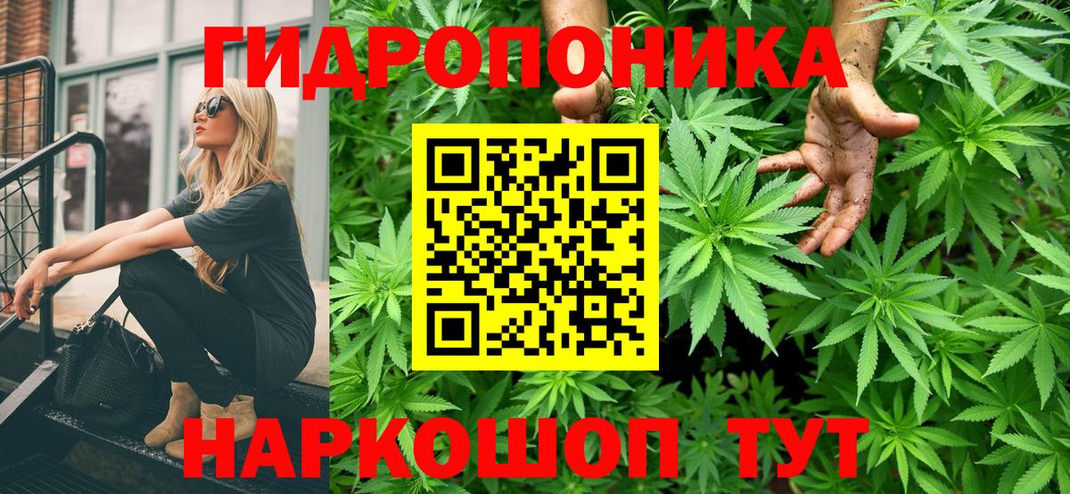 Каннабис White Widow  Конопля план  Оренбург  Шишки марихуана White Widow  Вход с VPN 